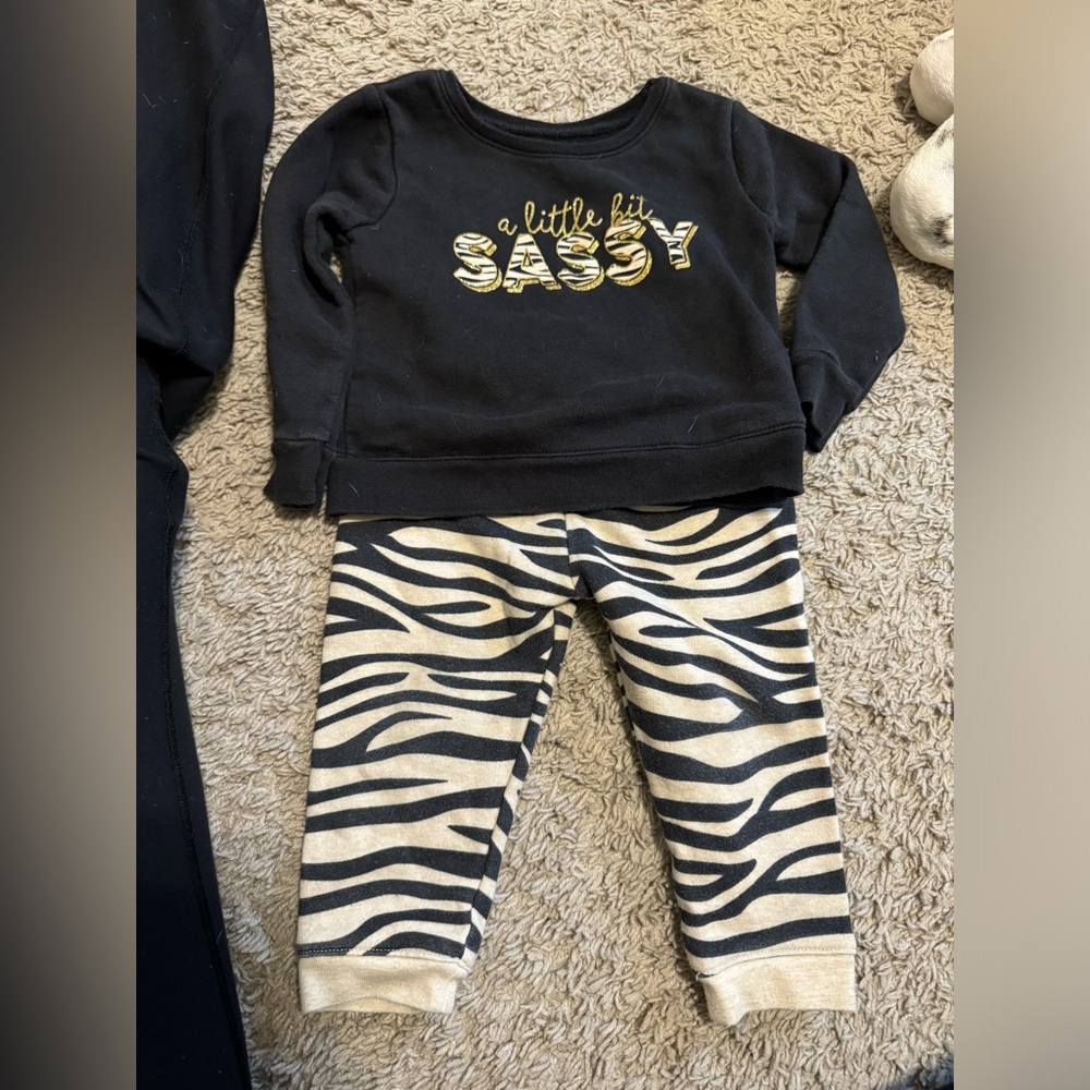 {GARANIMALS} Tiger Zebra Winter Matching Set
